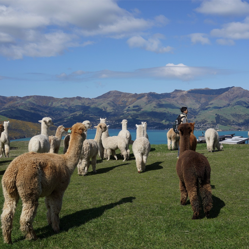 小程序,企業(yè)移動(dòng)辦公,OA,網(wǎng)站建設(shè),連云港網(wǎng)站,連云港網(wǎng)站開(kāi)發(fā)，系統(tǒng)開(kāi)發(fā)，微信開(kāi)發(fā)，微信公眾號(hào)，微信企業(yè)號(hào)，微信訂閱號(hào)，微信服務(wù)號(hào)開(kāi)發(fā),微教育